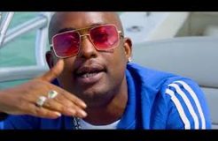 Mr. Blue - Mbwa Koko