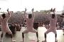 Raymond - Live performance at Mbagala Zakiemu (part 3)