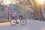 Introducing the self-driving bicycle in the Netherlands