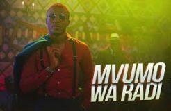 Alikiba - Mvumo Wa Radi (Official Video)