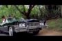 FID Q ft TAZ - WALK IT OFF (OFFICIAL VIDEO)