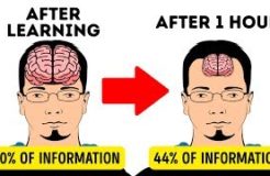 11 Secrets to Memorize Things Quicker Than Others