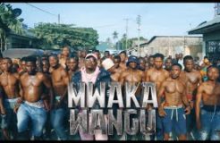 Harmonize - Mwaka wangu (Official Music Video)