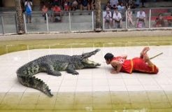 Thailand Crocodile Farm - The most DANGEROUS job in the world?