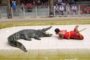 Thailand Crocodile Farm - The most DANGEROUS job in the world?