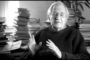 Noam Chomsky - The Purpose of Education