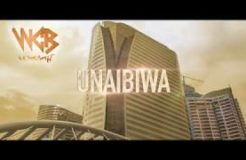 Rayvanny - Unaibiwa ( Official Video music )